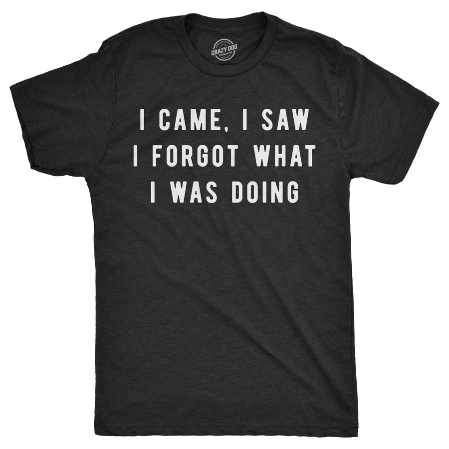 Funny Heather Black I Came, I Saw I Forgot What I Was Doing Mens T Shirt Nerdy Sarcastic Tee